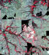 87_04_10.jpg (880372 bytes)