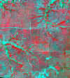 87_06_06.jpg (933479 bytes)