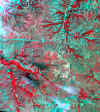 87_08_02.jpg (954729 bytes)