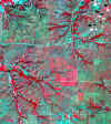 87_09_13.jpg (961082 bytes)