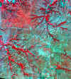 88_08_31.jpg (983547 bytes)