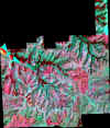 93_15aug_c.jpg (67264 bytes)